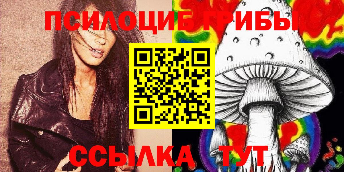 Галлюциногенные грибы Psilocybe Волгодонск