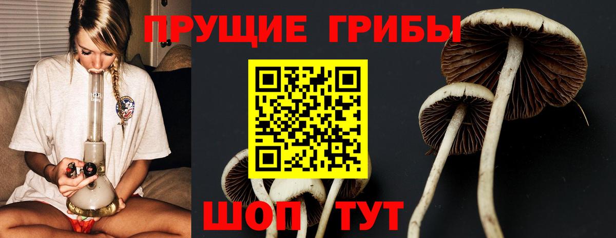Галлюциногенные грибы мицелий  Вход с VPN  Псилоцибиновые грибы Psilocybine cubensis  Волгодонск 